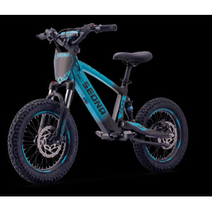 Elektrisches Laufrad Sedna SX 16" Blau