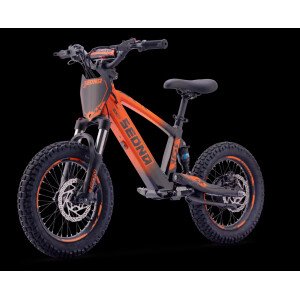 Elektrisches Laufrad Sedna SX 16" Orange