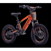 Elektrisches Laufrad Sedna SX 16" Orange