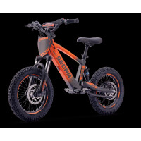 Elektrisches Laufrad Sedna SX 16" Orange