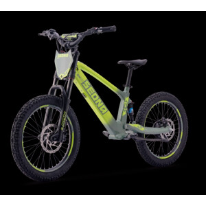Elektrisches Laufrad Sedna SX 20" grün