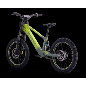 Elektrisches Laufrad Sedna SX 20" grün