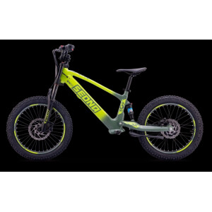 Elektrisches Laufrad Sedna SX 20" grün