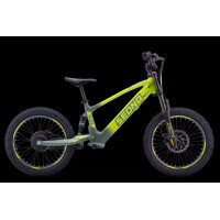 Elektrisches Laufrad Sedna SX 20" grün