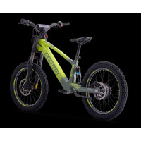 Elektrisches Laufrad Sedna SX 20" grün
