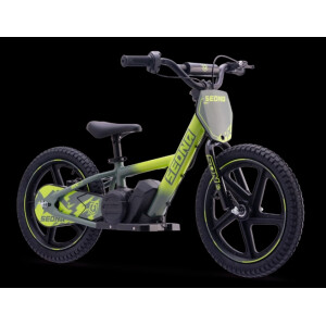 Elektrisches Laufrad Sedna MX 16" Grün
