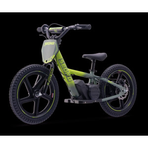 Elektrisches Laufrad Sedna MX 16" Grün