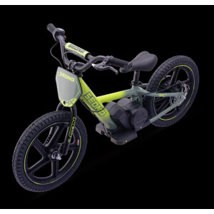 Elektrisches Laufrad Sedna MX 16" Grün