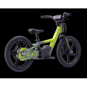 Elektrisches Laufrad Sedna MX 16" Grün