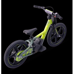 Elektrisches Laufrad Sedna MX 16" Grün