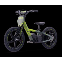 Elektrisches Laufrad Sedna MX 16" Grün