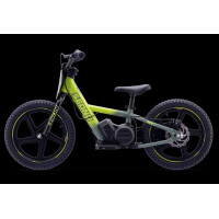 Elektrisches Laufrad Sedna MX 16" Grün