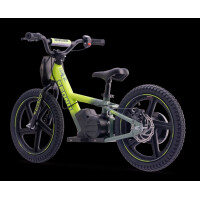 Elektrisches Laufrad Sedna MX 16" Grün