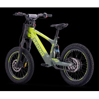 Elektrisches Laufrad Sedna SX 16" Grün