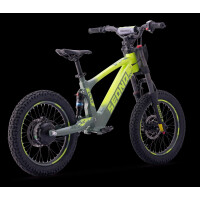 Elektrisches Laufrad Sedna SX 16" Grün