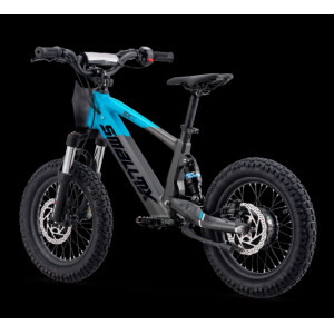 Elektrisches Laufrad Sedna SX 16" Blau