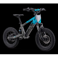Elektrisches Laufrad Sedna SX 16" Blau