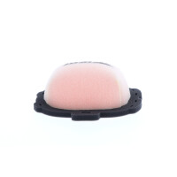 TWIN AIR Luftfilter CRF250/450 21-24